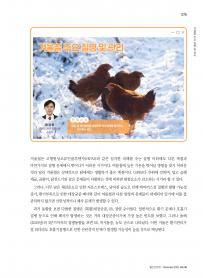 2025년 11월 월간산란계 표지